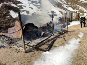 Arıcı Barakası Yandı