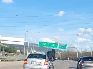 Bursa’da Fotoğraf Çekmek İçin Canını Tehlikeye Attı, O Anlar Kamerada