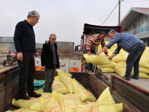 Büyükşehir, Çiftçilere Gübre Ve Tohum Dağıtımına Başladı