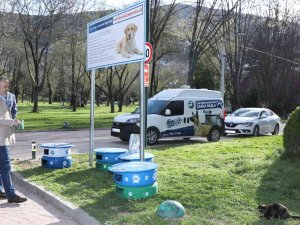 Eski Lastikler Kedilere Ev Oldu