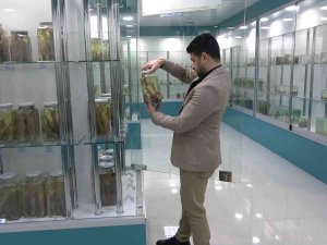 Türkiye’nin En Zengin Balık Müzesine Yurt Dışından Yoğun İlgi