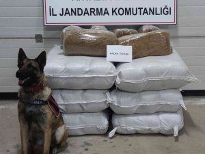 Yolcu Otobüsünde 252 Kilogram Kaçak Tütün Ele Geçirildi