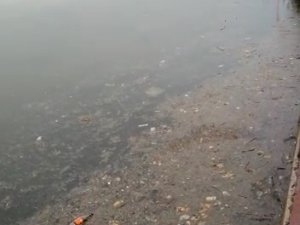 Kocaeli Körfezi Çöplüğe Döndü