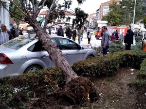Kökünden Sökülen Ağaç Park Halindeki Otomobilin Üzerine Devrildi