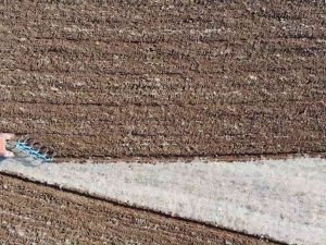 Devlet Desteği Çiftçinin Yüzünü Güldürdü, Yüzde 75 Hibeyle 500 Ton Tohum Dağıtıldı