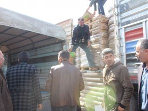 Muradiye’de 125 Çiftçiye 52 Ton Buğday Tohumu Dağıtıldı
