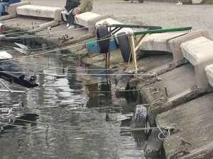 Çöken Barınağa Yalova Belediyesi’nin Parası Yetmedi, Dlh’nın Yapması Bekleniyor
