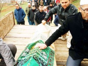 Orman Kesimi Sırasında Öldürülen Bayam Toprağa Verildi