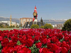 Kahramanmaraş Çiçeklerle Renklendi