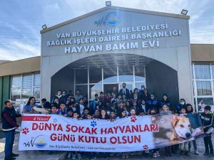 Van Büyükşehir’den ‘Sokak Hayvanları Koruma Günü’ Etkinliği