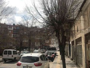 Kırklareli’nde Budanmayan Ağaçlar Esnaf Ve Vatandaşları Üzüyor