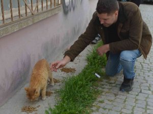 Sokak Hayvanlarını Beslediler
