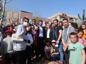 Şahinbey’de Ağaçlandırma Çalışmaları Devam Ediyor