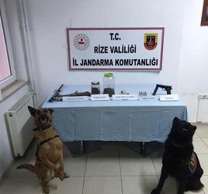 Rize'de jandarma operasyonlarında 224 şüpheli gözaltına alındı