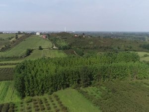 Türkiye’nin En Önemli Ovalarından Biri ’Orman’a Dönüşüyor