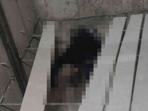 Batman’da Asansör Boşluğuna Düşen İşçi Hayatını Kaybetti