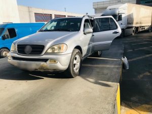 Sarp Sınır Kapısı’nda Bin 100 Adet Su Kaplumbağası Ele Geçirildi