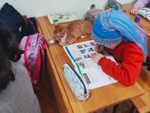 Soğuktan Donmak Üzereyken Bulundu, Okulun Maskotu Oldu