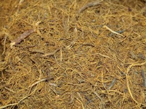 Ramazan Ayında Susuzluğun Çaresi Meyan Kökü Şerbeti