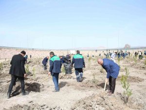 Büyükşehir, Baharın Gelmesiyle Fidan Dikimine Başladı