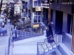 Ümraniye’de Kedi Kavgası