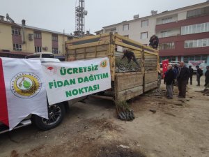 Çemişgezek’te Vatandaşlara Ücretsiz 11 Bin Fidan Dağıtıldı