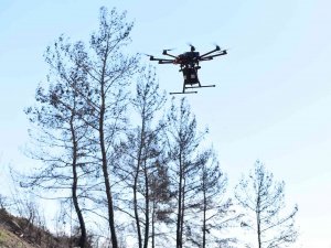 Muratpaşa, Manavgat’ta Drone İle 15 Kilogram Tohum Attı