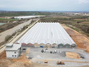 Seracılık Mükemmeliyet Merkezi’nde 65 Bin Kök Domates Fidesi Dikildi