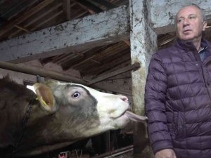 Muharrem İ̇nce’den Ahırda Basın Toplantısı
