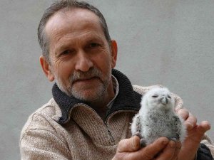 Serendisine Yavrulayan Baykuşla Dost Oldu