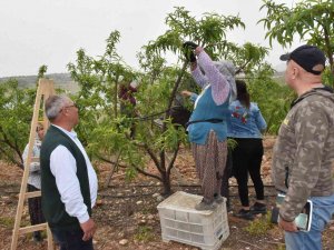 Tarsuslu Çiftçiler, Doğru Ve Sürdürülebilir Tarım İçin Bilgilendirildi