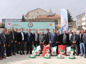 Samsun’da Üreticiye Patates Ve Kuru Fasulye Tohumluğu Dağıtımı