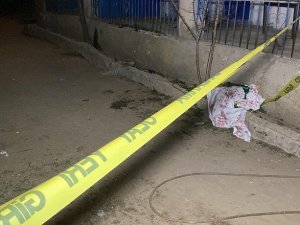 Abisinin Hastalığı İçin Geldi, Annesini Ve Abisini Öldürerek İntihar Etti