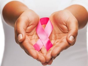 “Pestisitler Meme Kanserine Zemin Hazırlıyor”