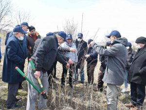Ankara’da Üreticilere “Vişne Üretim Teknikleri Eğitimi”