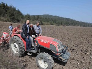 Mudanya Belediyesi Ayçiçek Tohumlarını Toprakla Buluşturdu