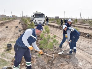 Karatay’da Ağaçlandırma Çalışmaları Sürüyor