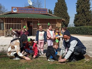 Yunusemreli Minikler Fidan Dikti