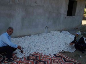 Sason’da İpek Böceği Geliştirme Toplantısı