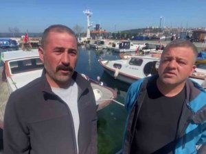 Çanakkale Boğazı’nda Yaklaşık 300 Kilogram Ağırlığında Köpek Balığı Yakaladılar