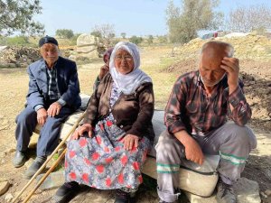 Kurtlar 25 Koyunu Telef Etti, 3 Ailenin Geçim Kaynağı Yok Oldu