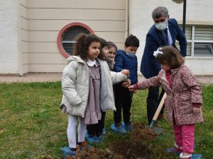 Minik Öğrenciler Fidanları Toprakla Buluşturdu