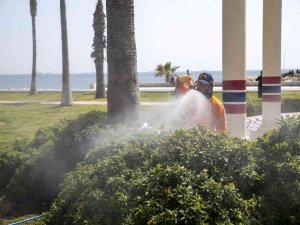Mersin’de İlaçlama Çalışmaları Hız Kazandı