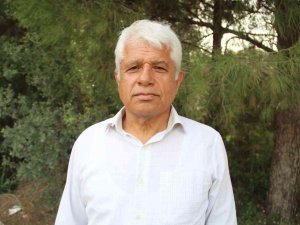 Antalya’da Yunus Sürüsü Tekneye Eşlik Etti
