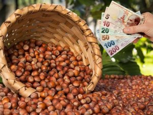 Çiftçiye 71 Milyon Lira Destek