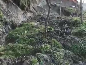 Kastamonu’da Heyelan: Ağaçlar Bile Sürüklendi
