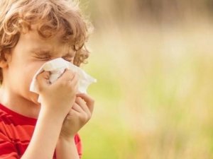 Küresel Isınma Alerjik Nezlelerin Artış Nedenlerinden