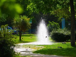 Bayraklı’nın Yeşil Alan Oranı Artıyor