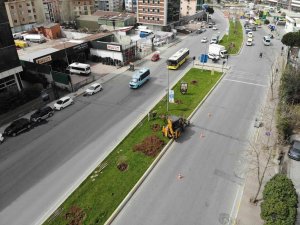 Ataşehir’de İ̇bb Ekipleri Tarafından Ağaçlar İş Makineleriyle Güpegündüz Söküldü