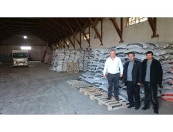 Yağlı Tohumlar Kooperatifi 2 Bin Ton Ayçiçeği Alacak